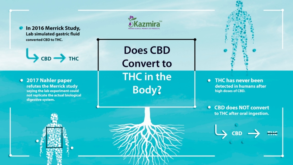 molecule graphic for Does CBD Convert to THC in the Body blog