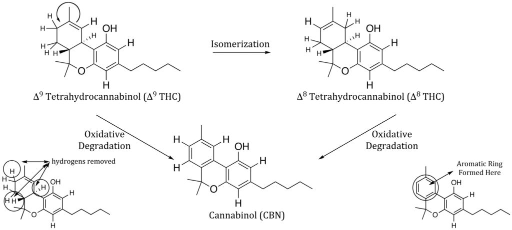 cbn molecule graphic for beyond thc & cbd blog